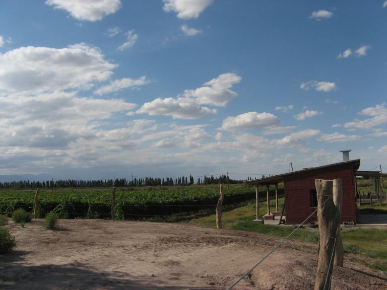 Finca en Venta en Lavalle, Mendoza