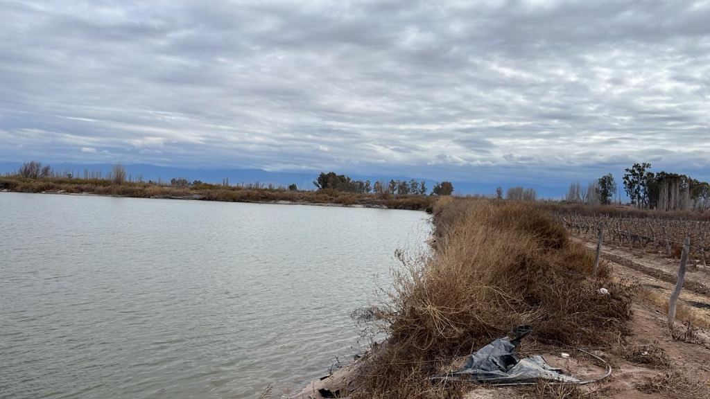 Finca en Venta en Lavalle, Mendoza
