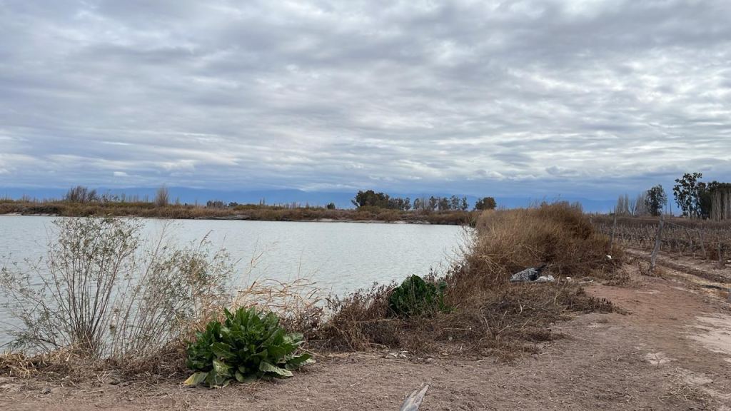 Finca en Venta en Lavalle, Mendoza