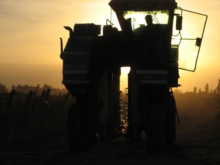 Finca en Venta en Lavalle, Mendoza