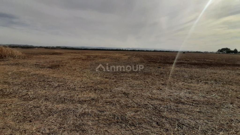Terreno en Venta en Santa Maria, Cordoba