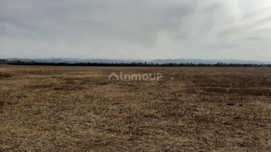Terreno en Venta en Santa Maria, Cordoba