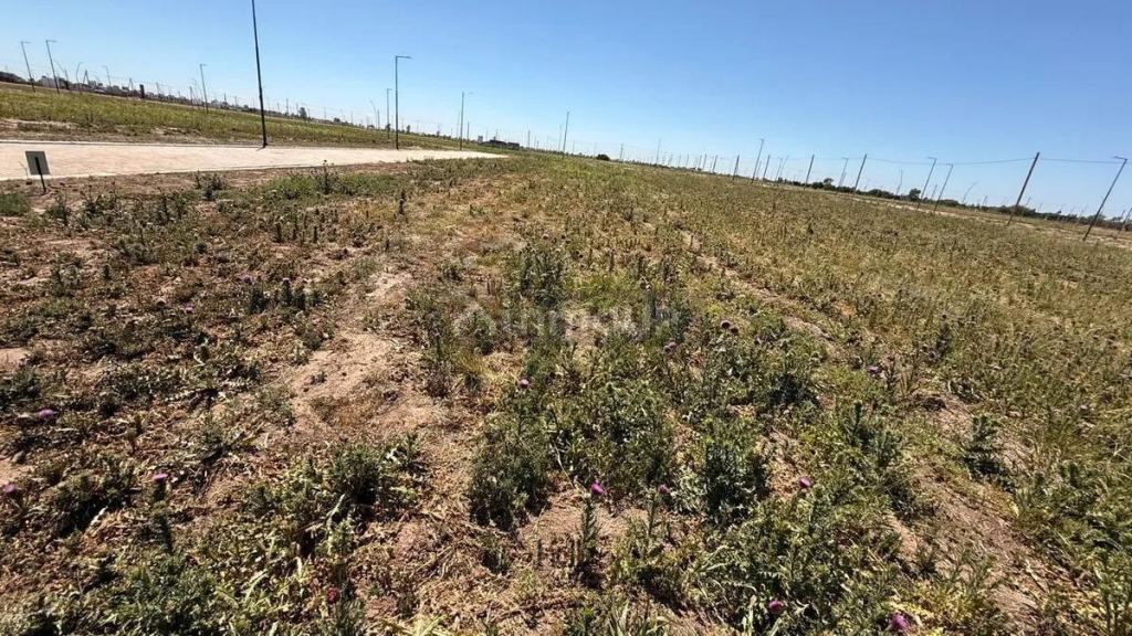 Terreno en Venta en Capital, Cordoba