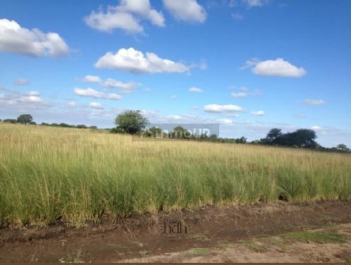 Campo en Venta en Rivadavia, Santiago del Estero