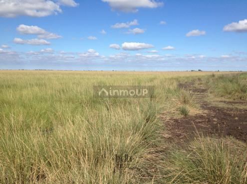 Campo en Venta en Rivadavia, Santiago del Estero