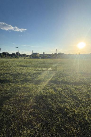 Campo en Venta en Santa Maria, Cordoba