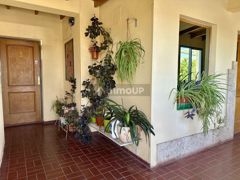 Departamento en Alquiler en Godoy Cruz, Mendoza