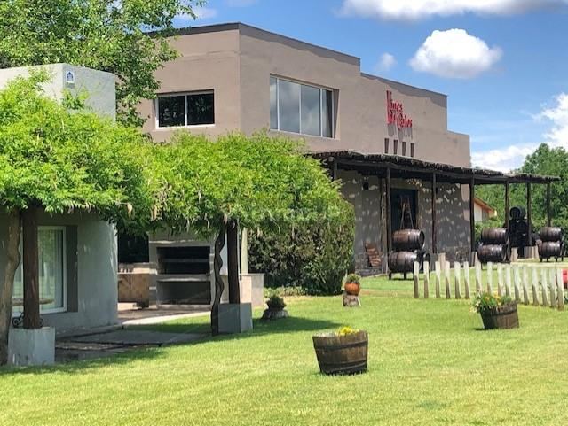 Bodega con Viñedo en Venta en Tupungato, Mendoza