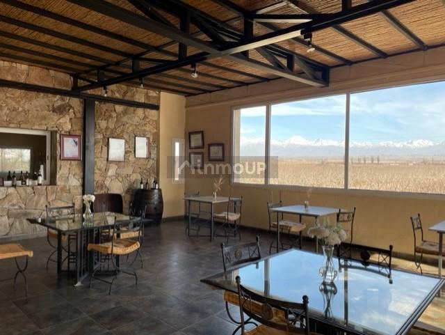 Bodega con Viñedo en Venta en Tupungato, Mendoza