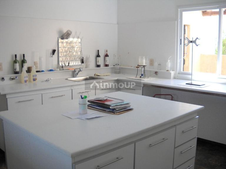 Bodega con Viñedo en Venta en Tupungato, Mendoza
