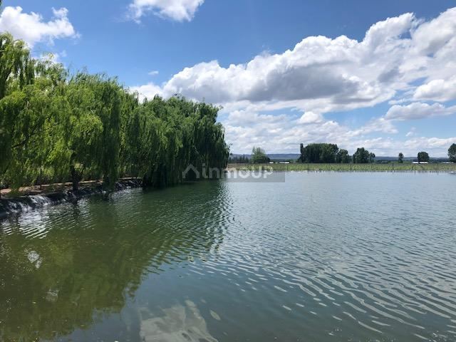 Bodega con Viñedo en Venta en Tupungato, Mendoza