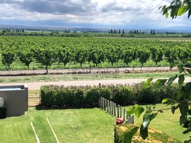 Bodega con Viñedo en Venta en Tupungato, Mendoza