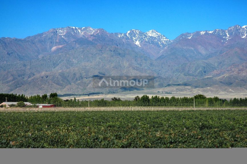 Bodega con Viñedo en Venta en Tupungato, Mendoza