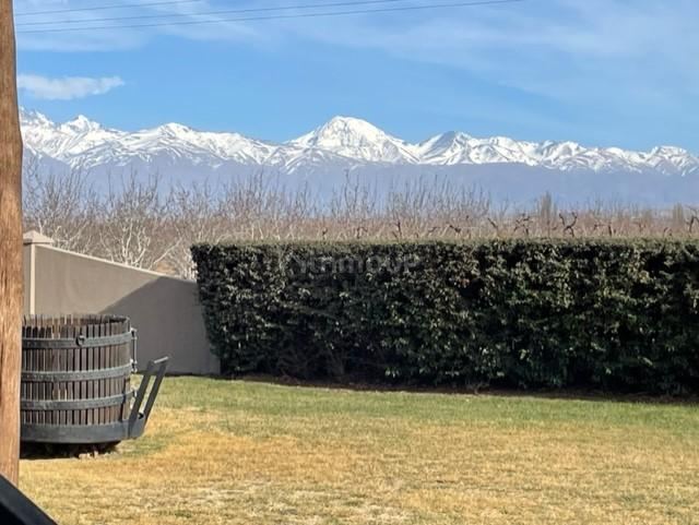 Bodega con Viñedo en Venta en Tupungato, Mendoza