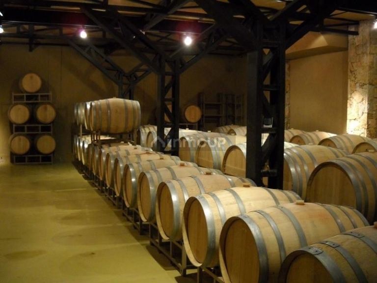 Bodega con Viñedo en Venta en Tupungato, Mendoza