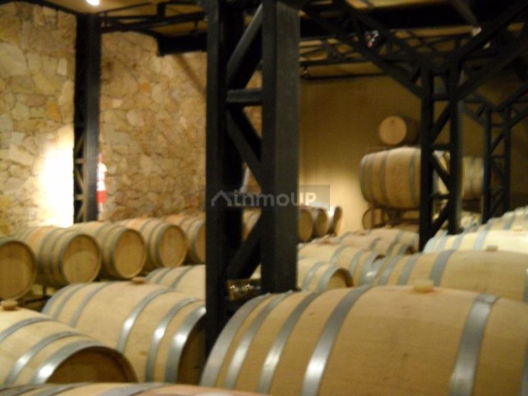 Bodega con Viñedo en Venta en Tupungato, Mendoza