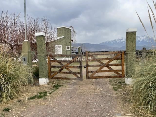 Finca en Venta en San Carlos, Mendoza