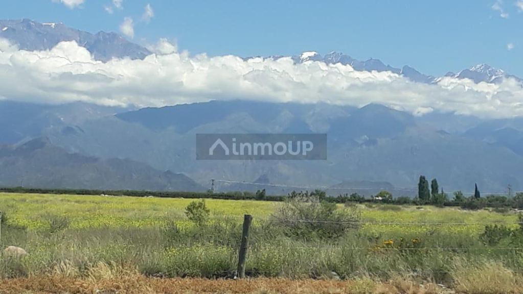 Finca en Venta en San Carlos, Mendoza