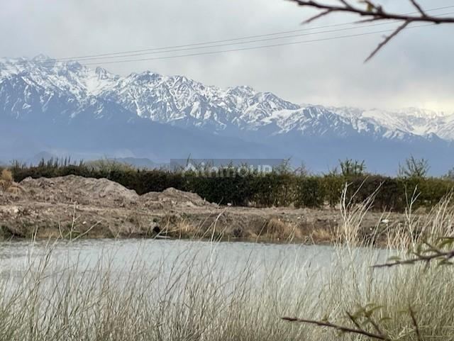 Finca en Venta en San Carlos, Mendoza