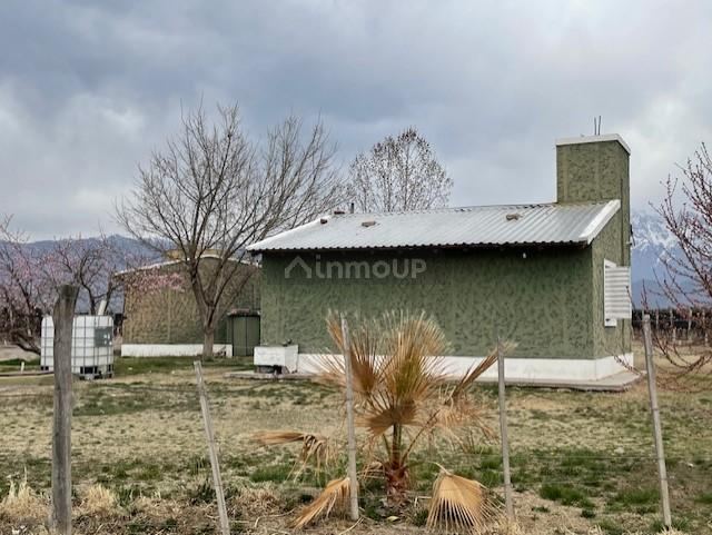 Finca en Venta en San Carlos, Mendoza
