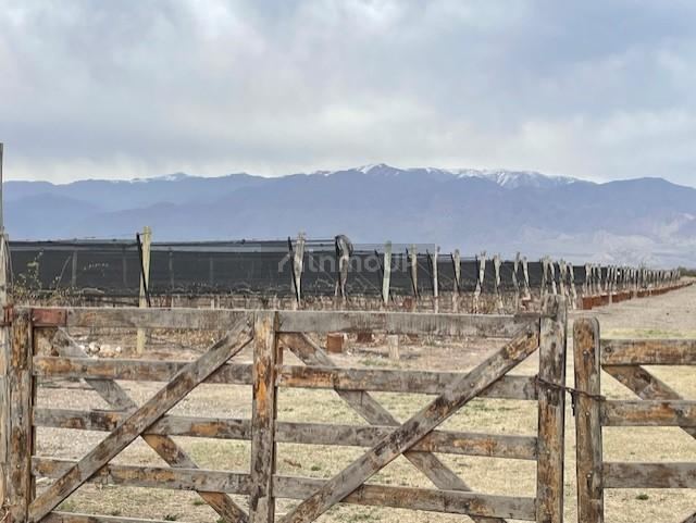 Finca en Venta en San Carlos, Mendoza