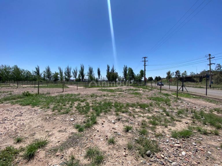 Lote en Venta en Lujan de Cuyo, Mendoza