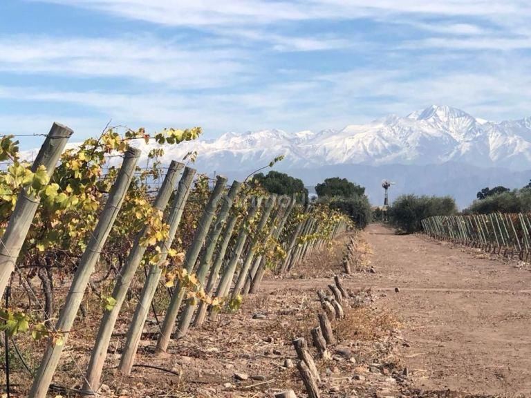 Lote en Venta en Maipu, Mendoza
