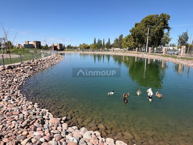 Lote en Venta en Lujan de Cuyo, Mendoza