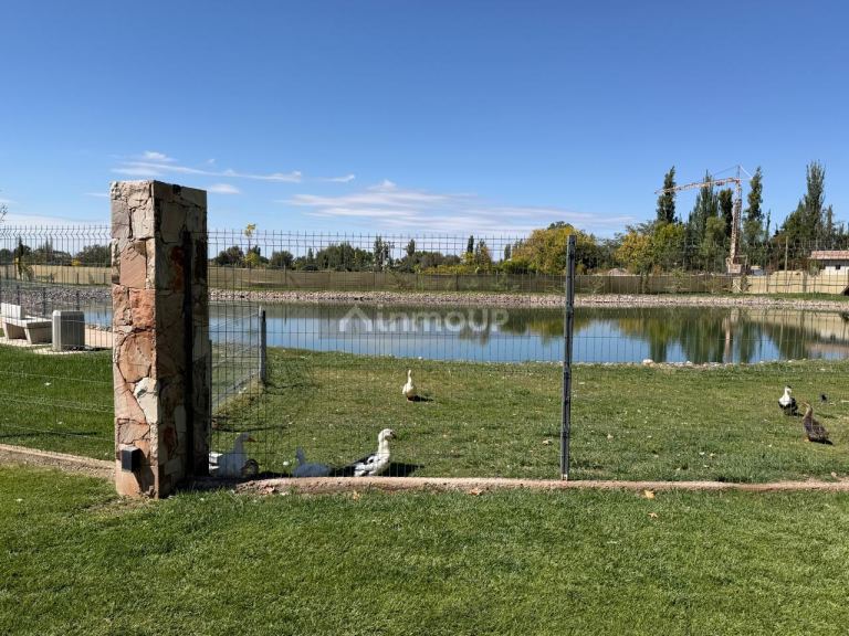 Lote en Venta en Lujan de Cuyo, Mendoza