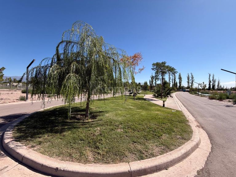 Lote en Venta en Lujan de Cuyo, Mendoza