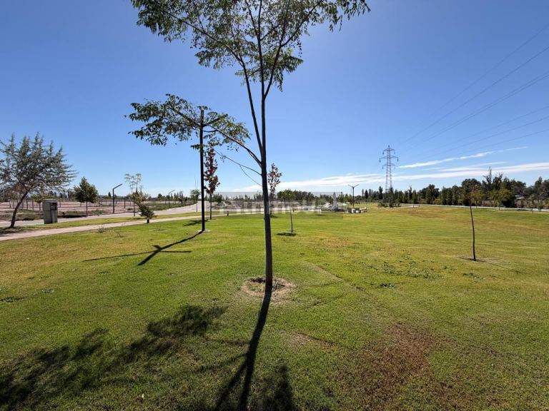 Lote en Venta en Lujan de Cuyo, Mendoza