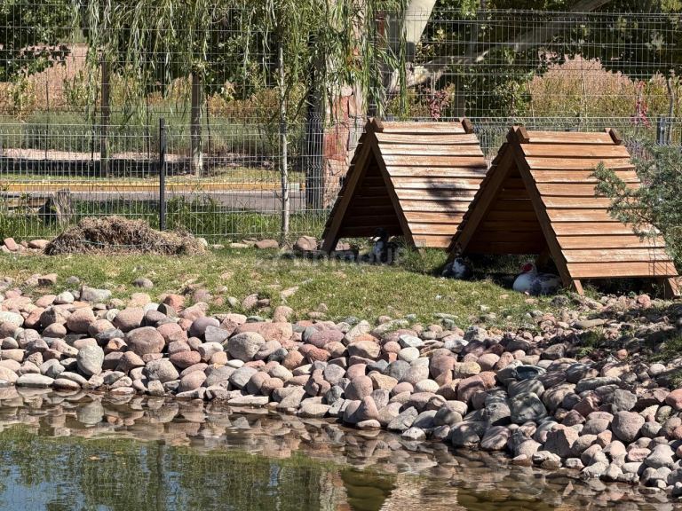 Lote en Venta en Lujan de Cuyo, Mendoza