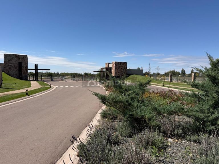 Lote en Venta en Lujan de Cuyo, Mendoza