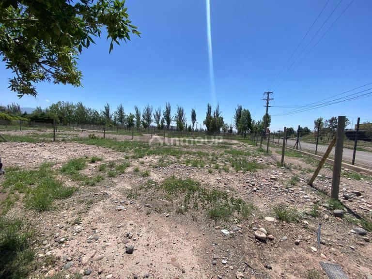 Lote en Venta en Lujan de Cuyo, Mendoza