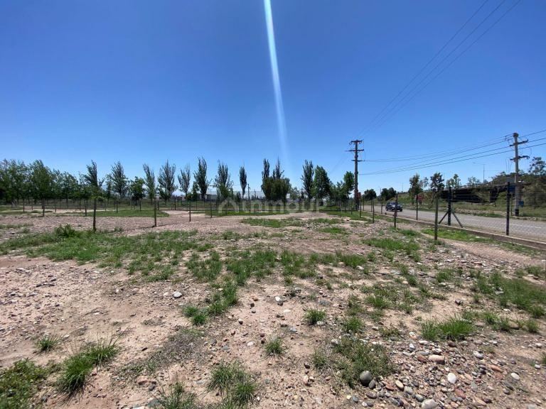 Lote en Venta en Lujan de Cuyo, Mendoza