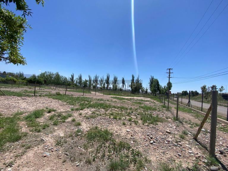 Lote en Venta en Lujan de Cuyo, Mendoza