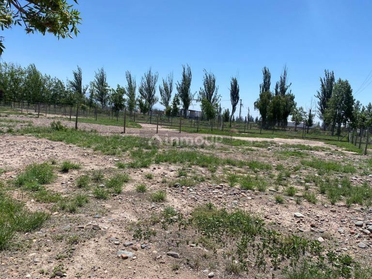Lote en Venta en Lujan de Cuyo, Mendoza
