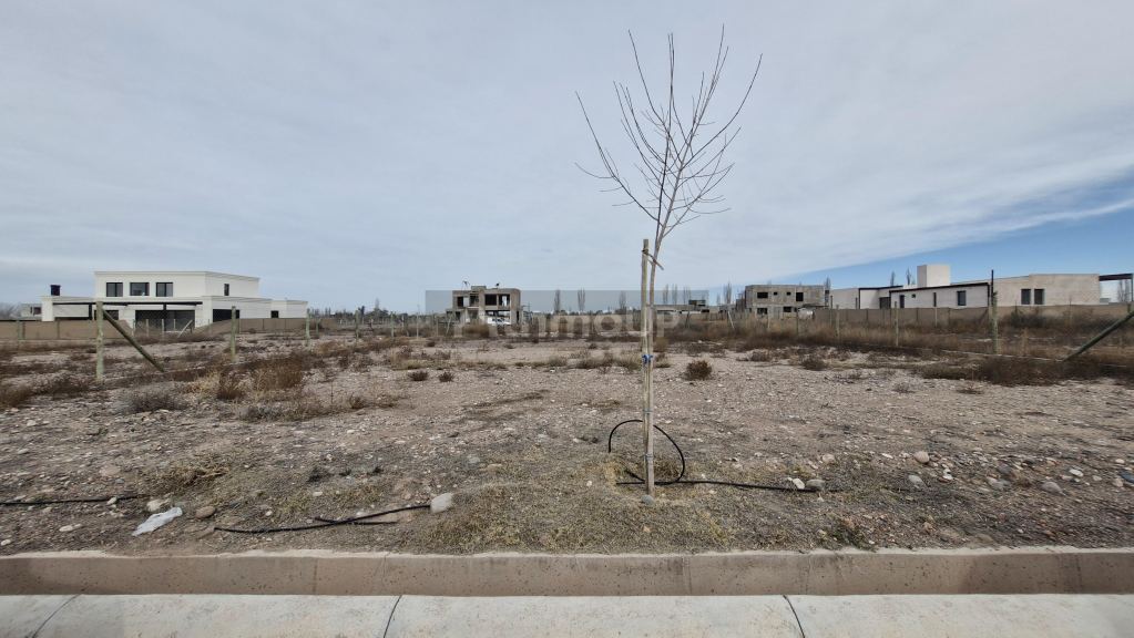 Lote en Venta en Lujan de Cuyo, Mendoza