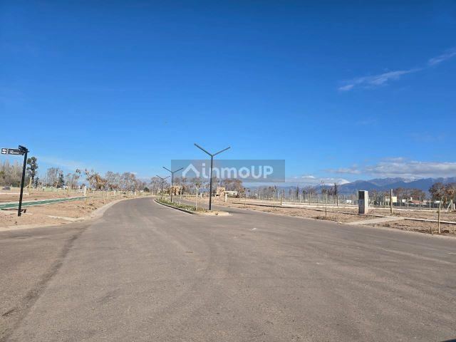 Lote en Venta en Lujan de Cuyo, Mendoza