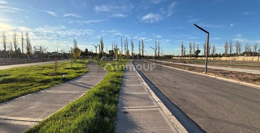 Lote en Venta en Lujan de Cuyo, Mendoza