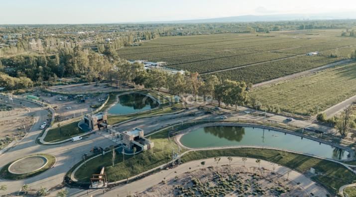 Lote en Venta en Lujan de Cuyo, Mendoza