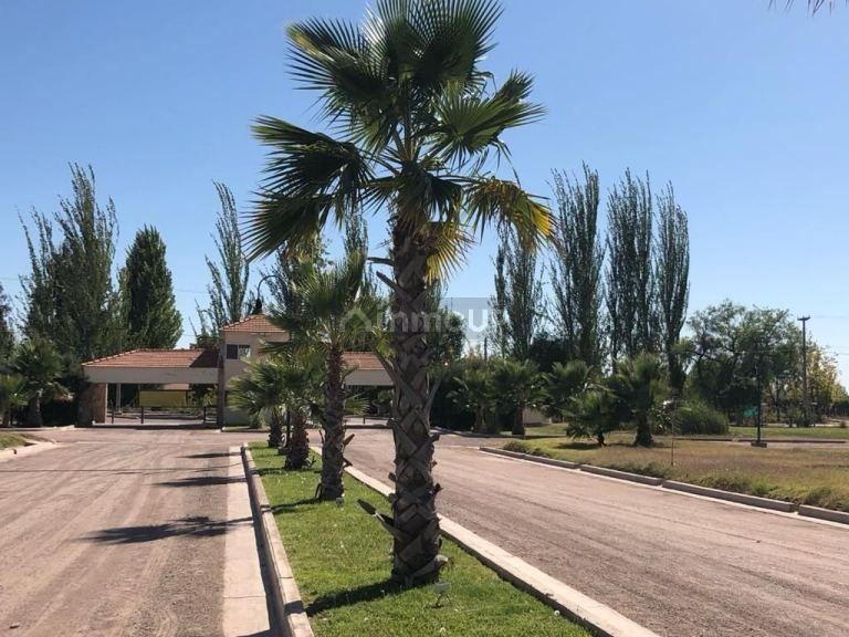 Lote en Venta en Maipu, Mendoza