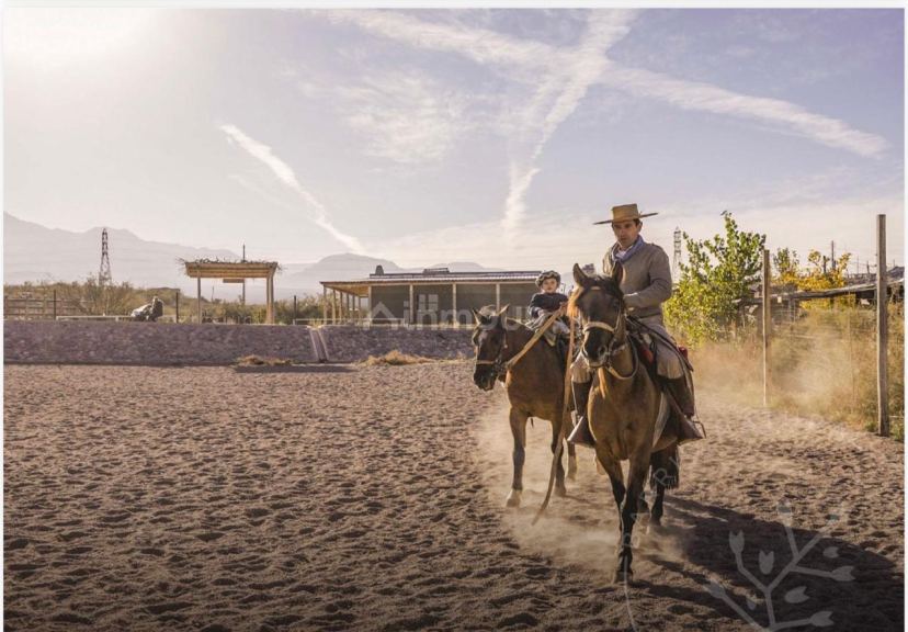 Lote en Venta en Lujan de Cuyo, Mendoza