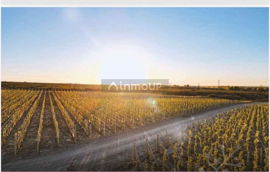 Lote en Venta en Lujan de Cuyo, Mendoza