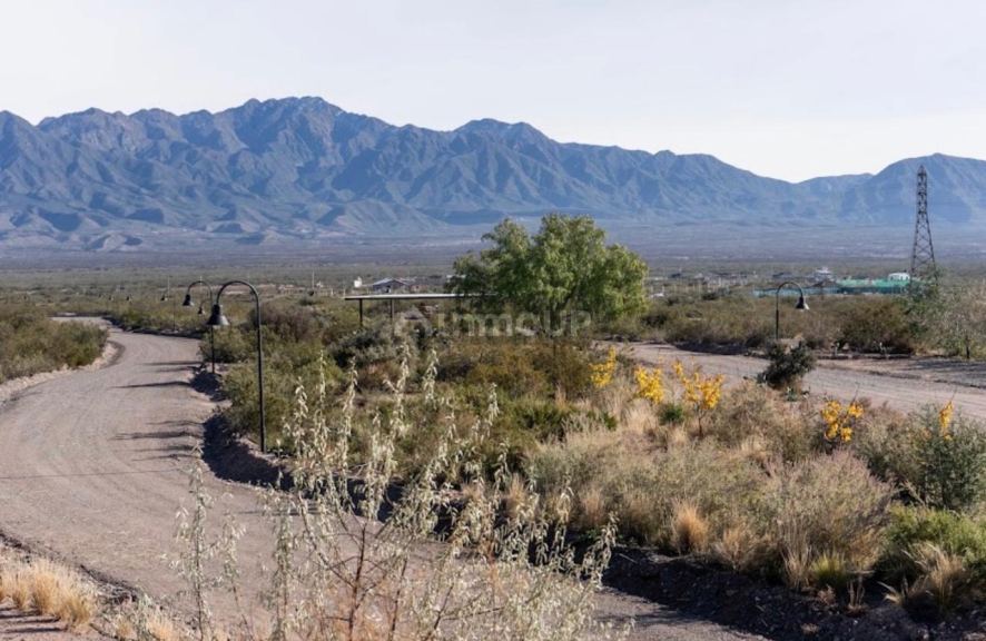 Lote en Venta en Lujan de Cuyo, Mendoza