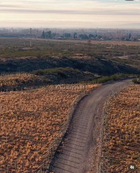 Lote en Venta en Lujan de Cuyo, Mendoza