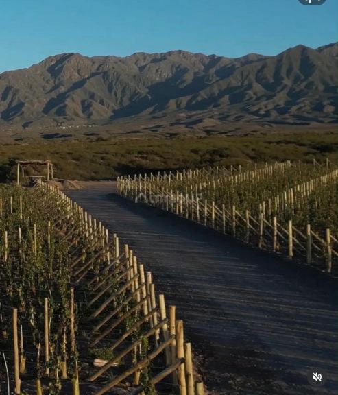 Lote en Venta en Lujan de Cuyo, Mendoza