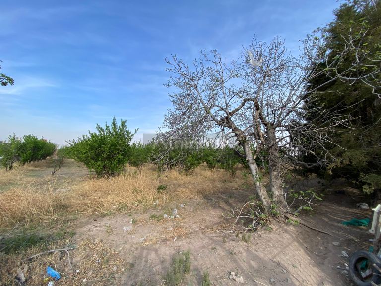 Lote en Venta en Las Heras, Mendoza