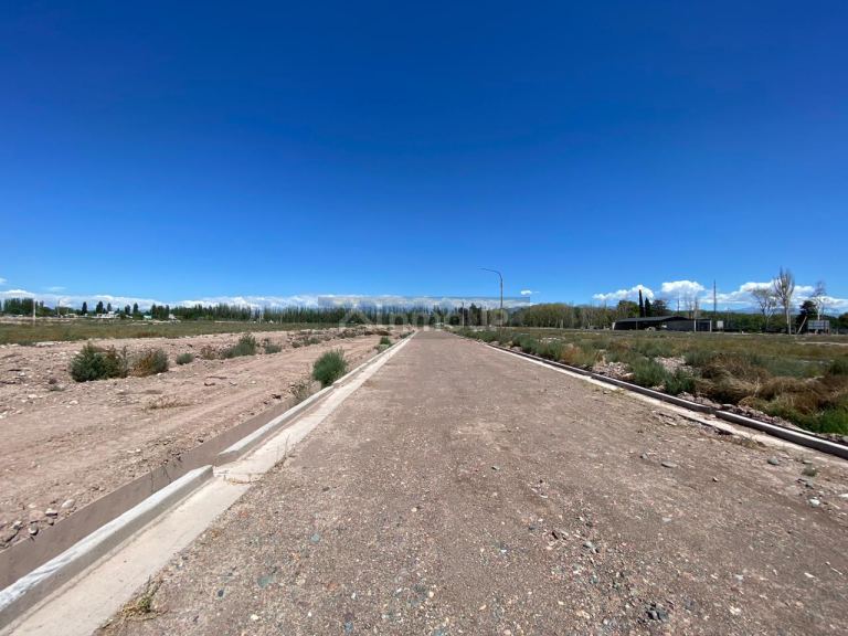 Lote en Venta en Lujan de Cuyo, Mendoza