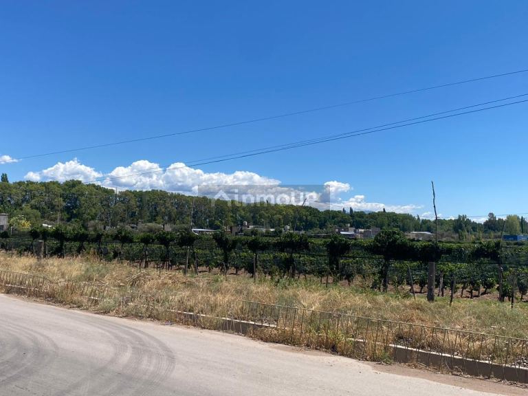 Lote en Venta en Lujan de Cuyo, Mendoza